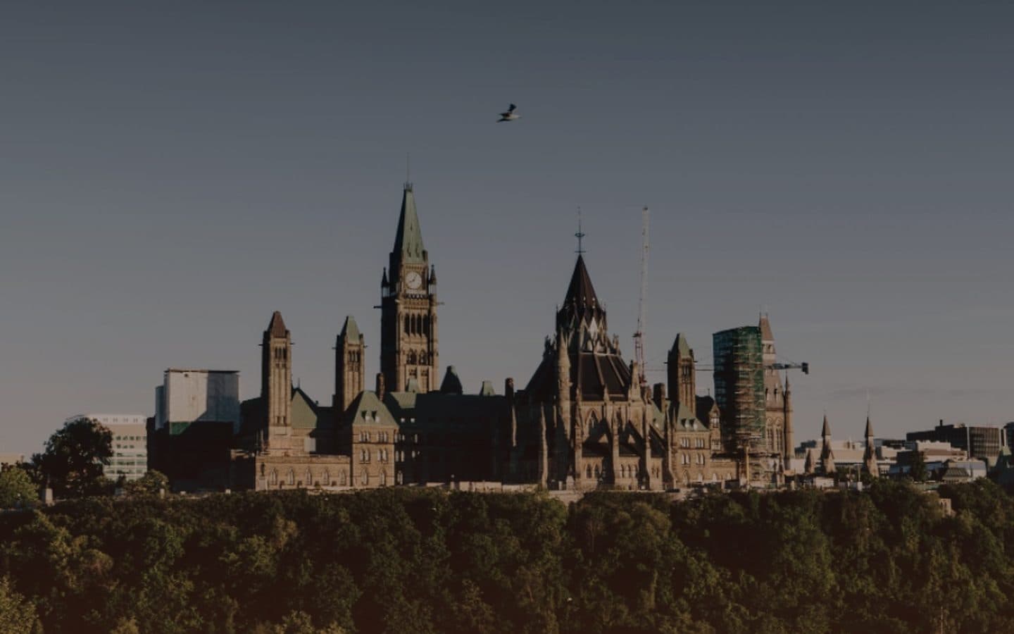 Government of Canada RFP Strategy